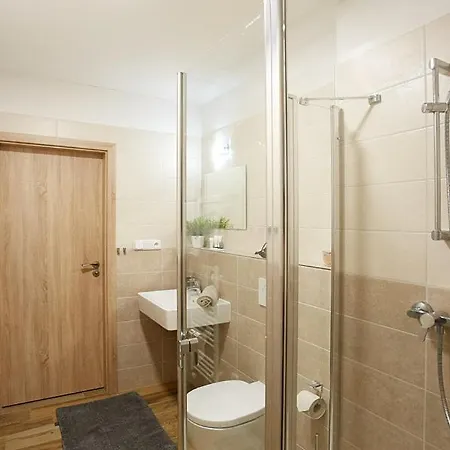 Apartment Rezidence - Javor & Wellness Zelezna Ruda