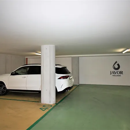 Rezidence - Javor & Wellness Zelezna Ruda
