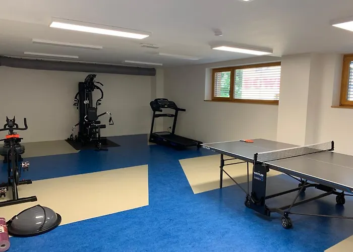 Apartmán Rezidence - Javor & Wellness *